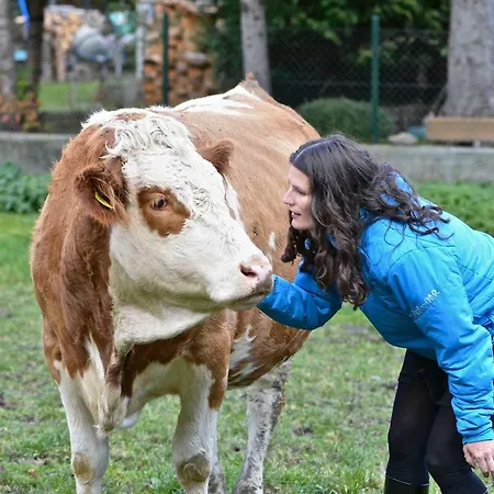 Rum i privatbostad Muellnerbauer *