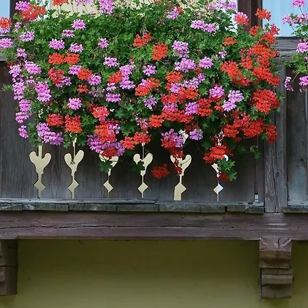 Privat bolig Muellnerbauer *