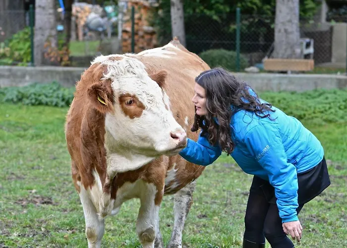 홈스테이 Muellnerbauer *