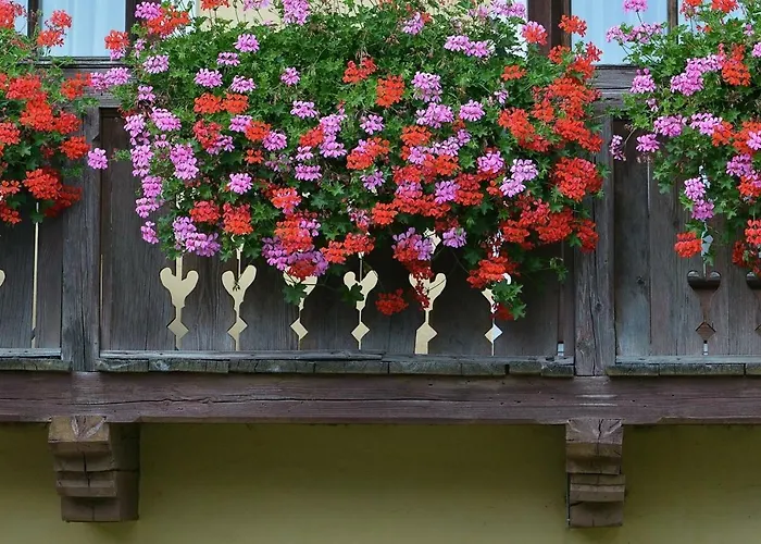 홈스테이 Muellnerbauer *